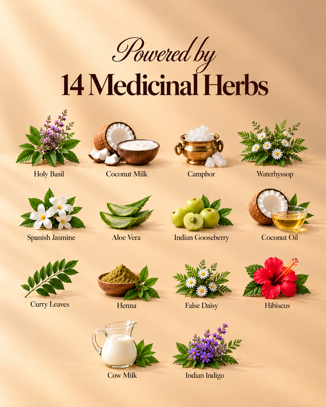 Herbal Hair Oil