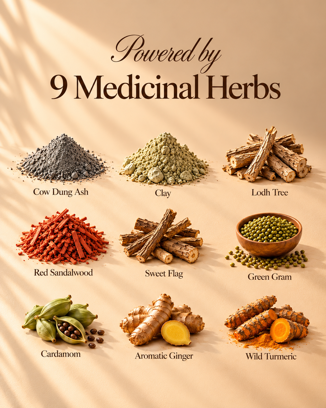Ayurvedic Face & Body Polish Mask